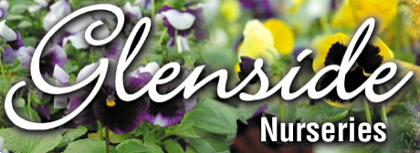 Glenside Nurseries